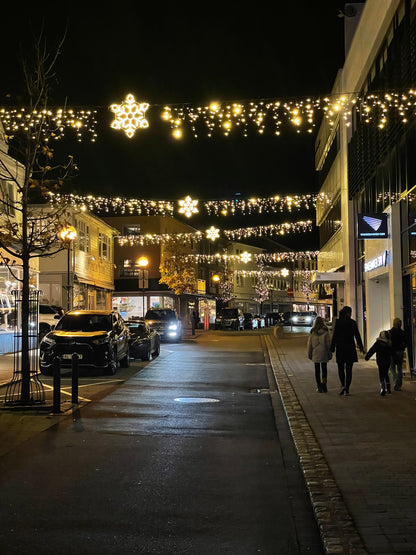 Eiszapfen <tc>Lichterketten</tc> 10 Meter. 480 LED warmweiß